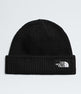 TNF Salty Lined Beanie 