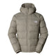 TNF Hydrenalite Down Hoodie