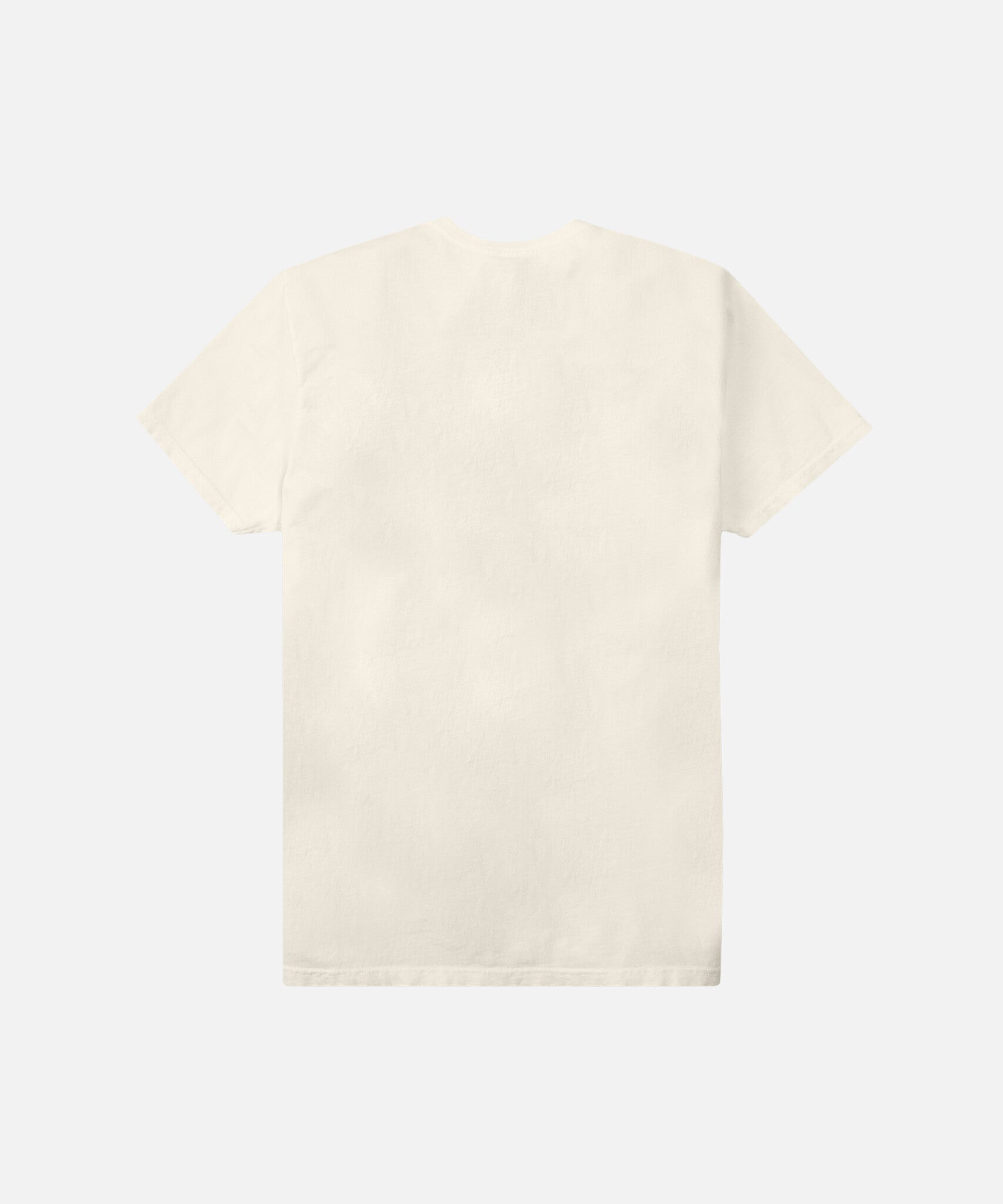 Paper Planes Bear Tee